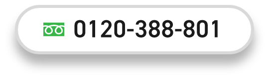 0120-388-801